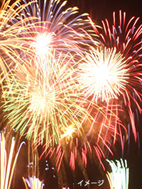 �H�̖L���L���