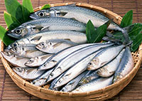 �^�ߏ����̏o