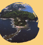 ������l�C�̈�i�B