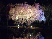 �^�ߒ��@��������̉�